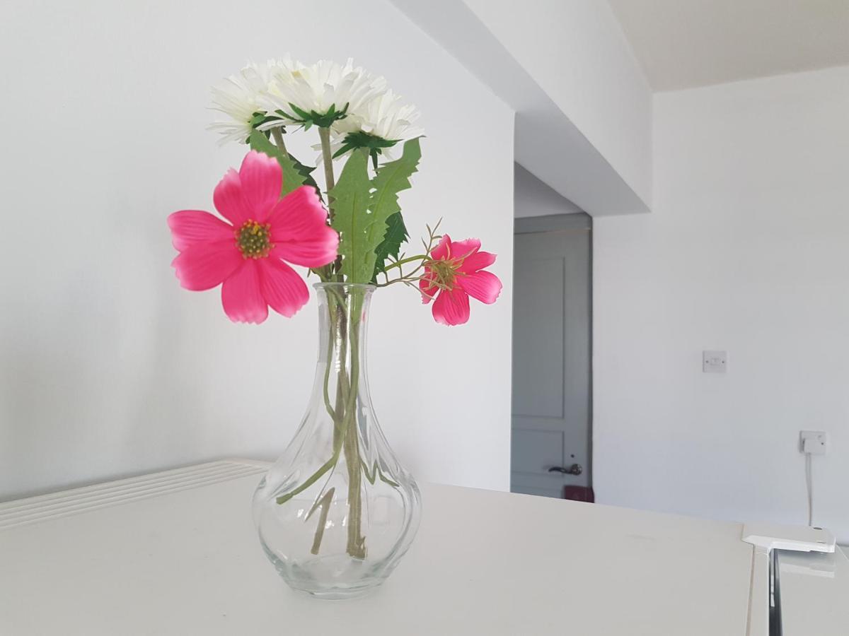 Cozy holyday apartament Paralímni Kültér fotó